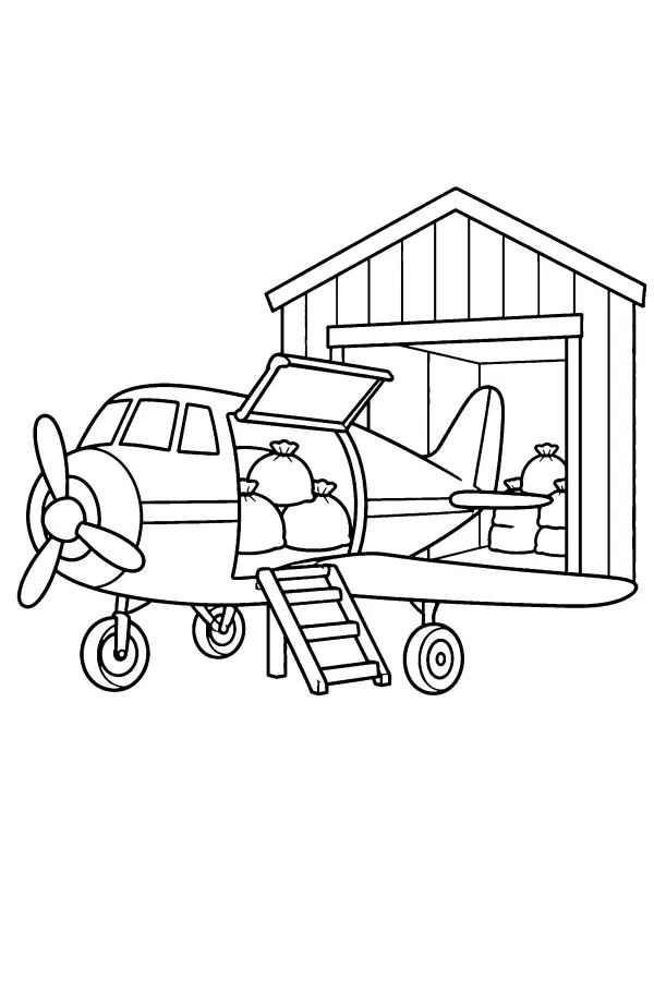 Airmail Cargo Plane
