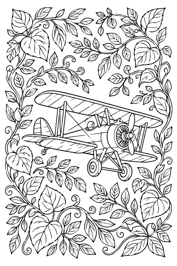 Leafy Biplane Frame