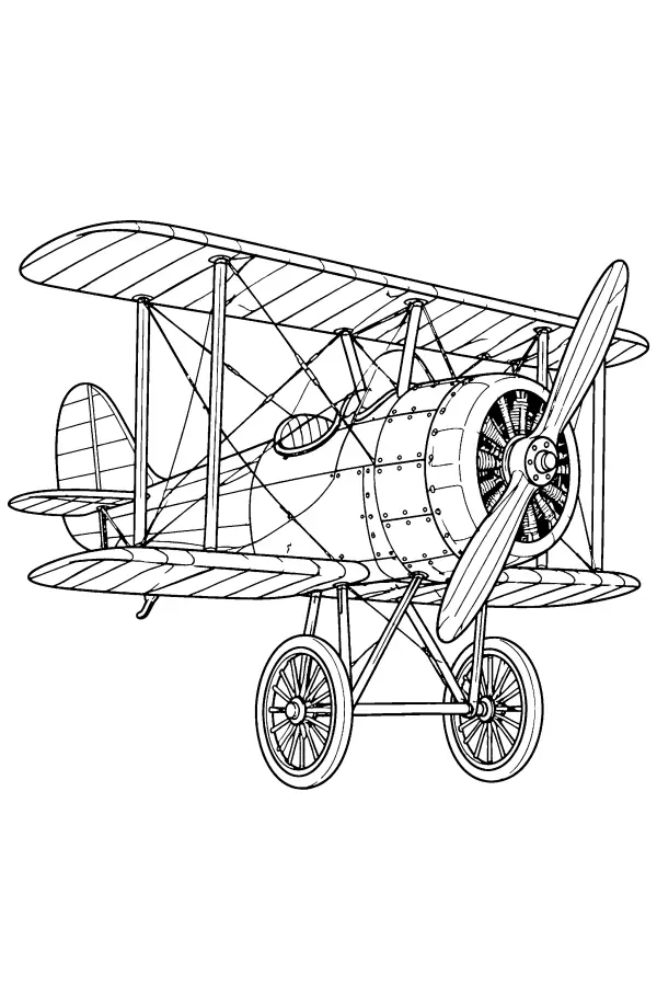 Vintage Rigged Biplane