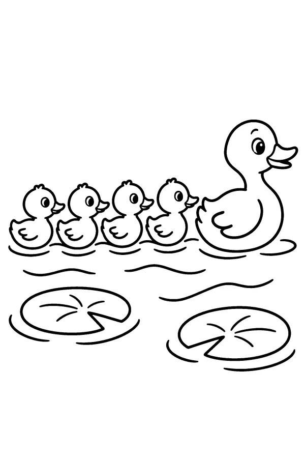 Coloriage d’une famille de canards sur un étang