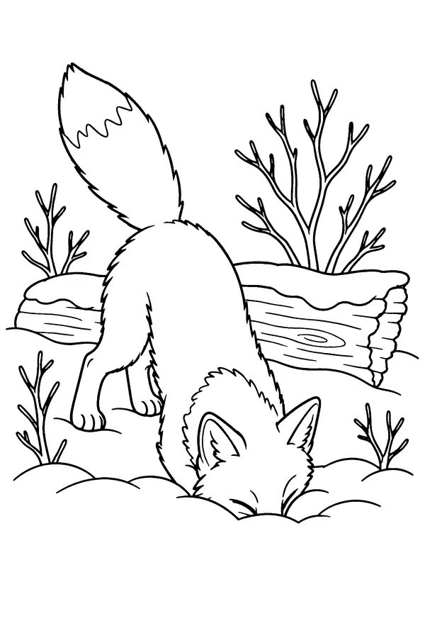 Dessin à colorier d’un renard plongeant dans la neige