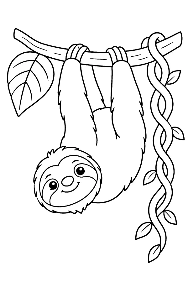 Dessin à colorier d’un paresseux pendu à une branche