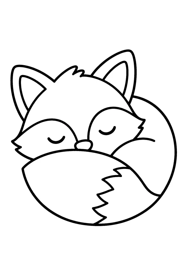 Coloriage d’un renard endormi en boule, queue sur le museau