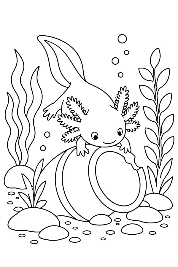 Axolotl and Clay Pot