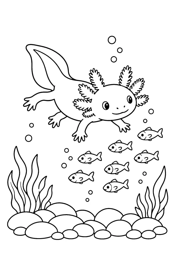 Axolotl And Fish