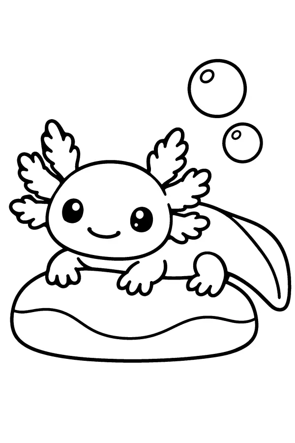 Axolotl On Stone