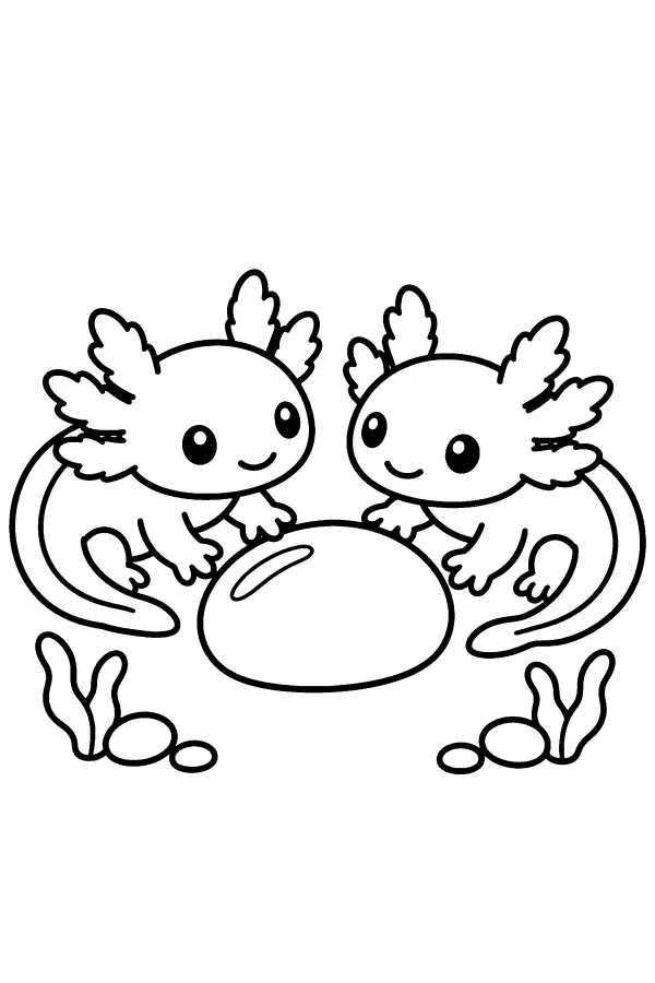 Axolotl Pebble Meeting