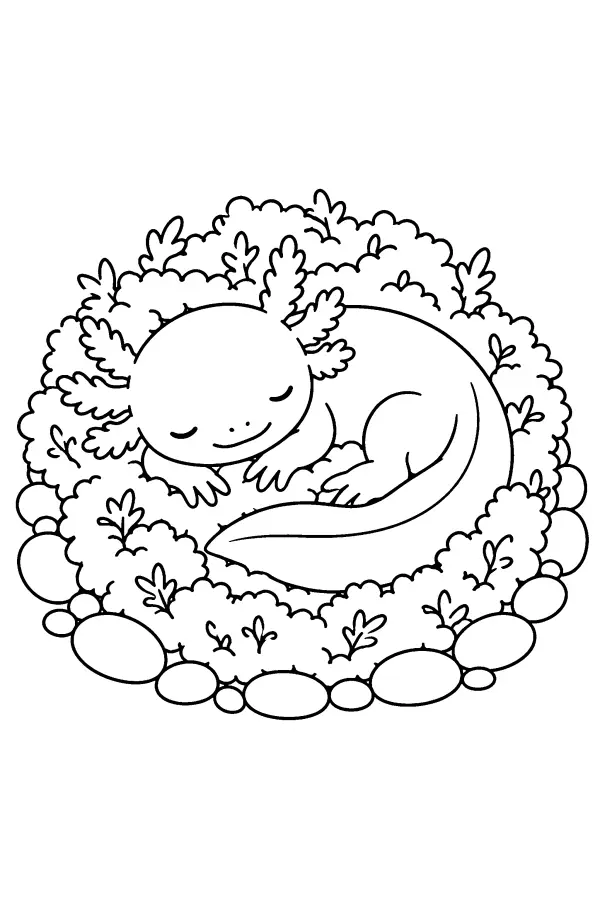 Sleeping Axolotl Nest