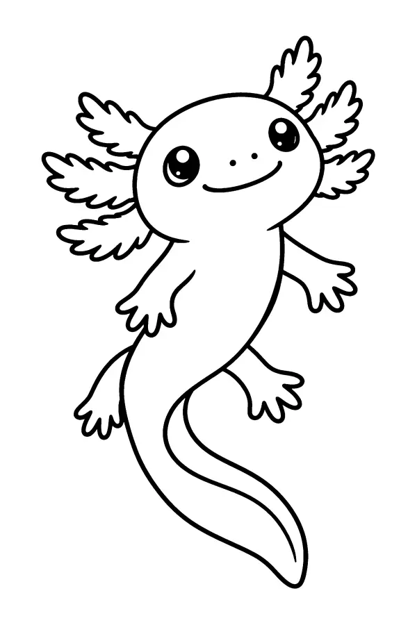Swimming Axolotl