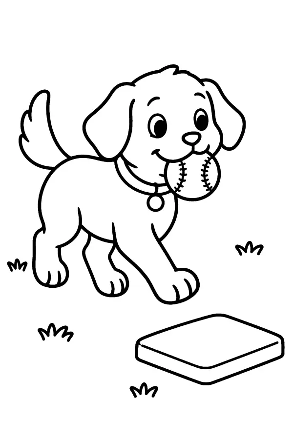 Puppy And Base