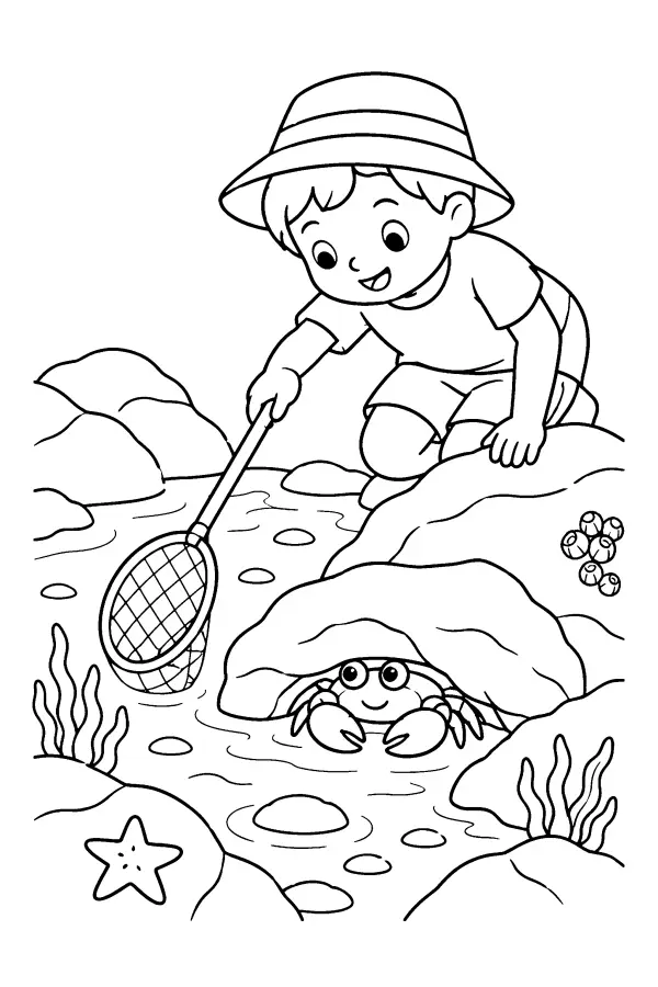 Crab Under Rock