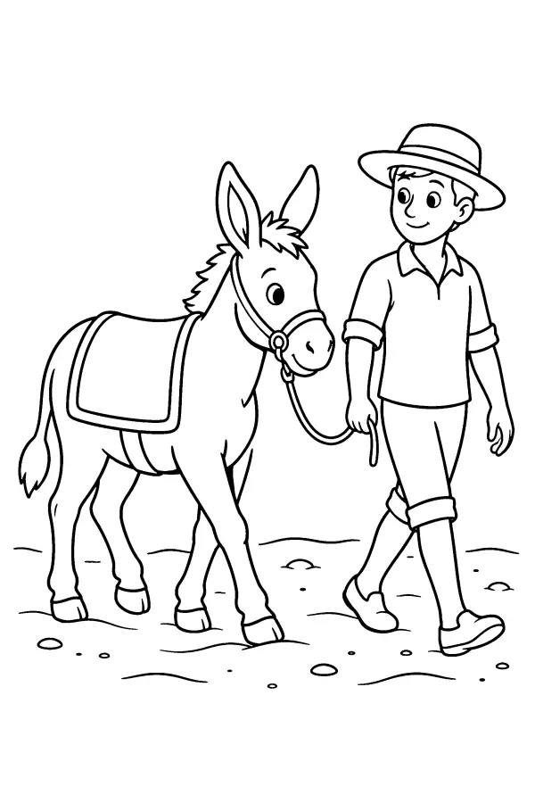 Donkey Beach Walk