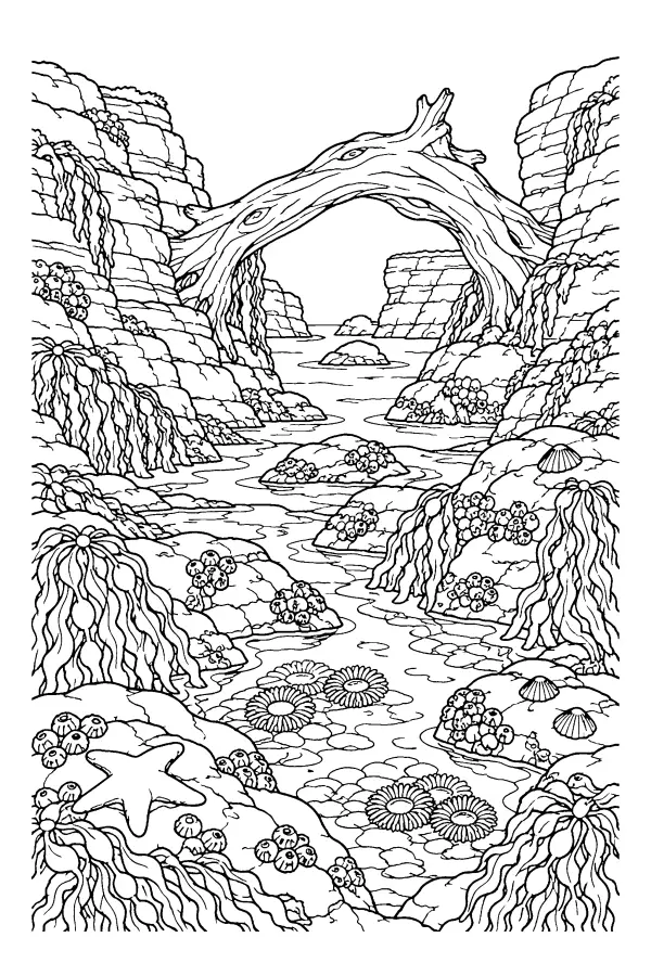 Driftwood Cove