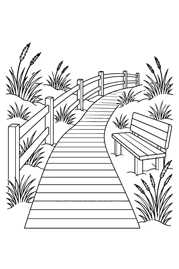 Dune Boardwalk Path