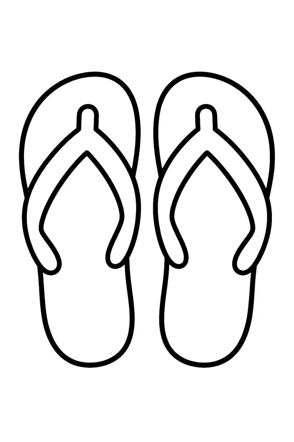 Pair of Flip Flops