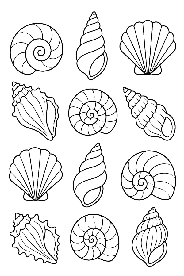 Shell Collection Grid
