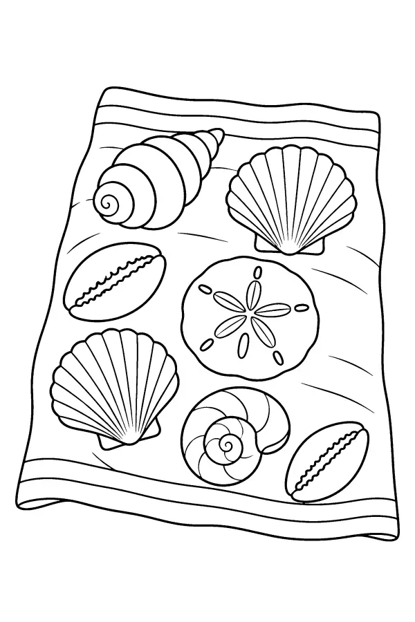 Shells On Towel