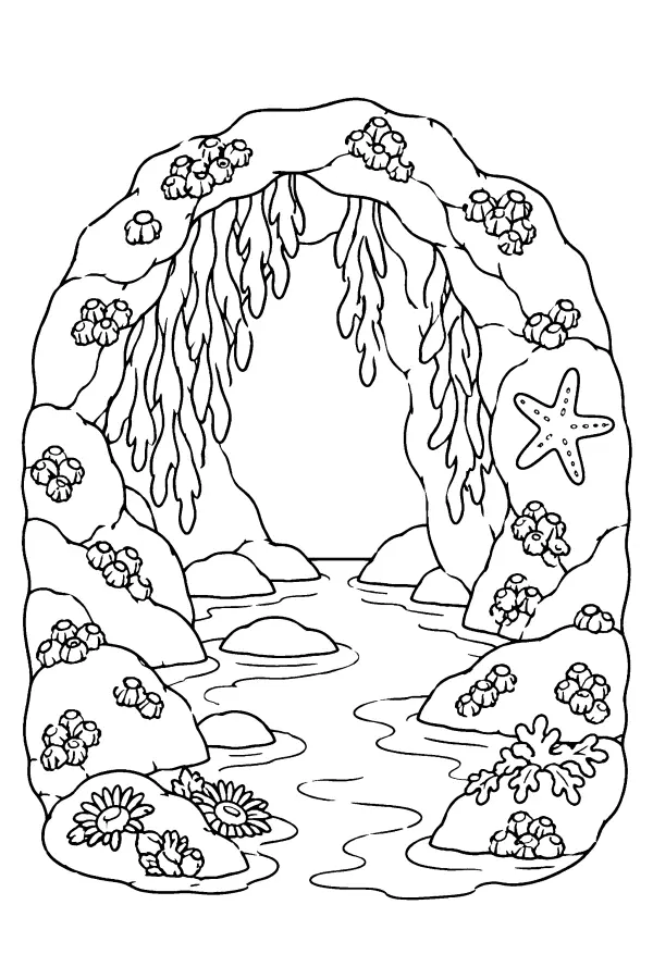 Tide Pool Cavern