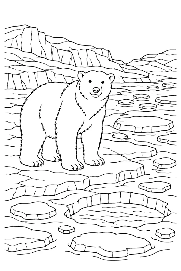 Arctic Ice Bear