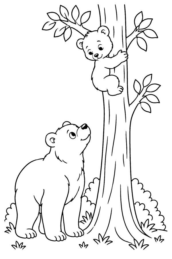 Bear Cub On Tree