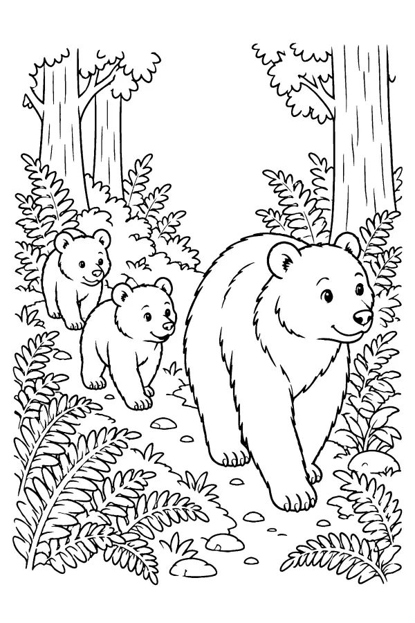 Bear Family Trail
