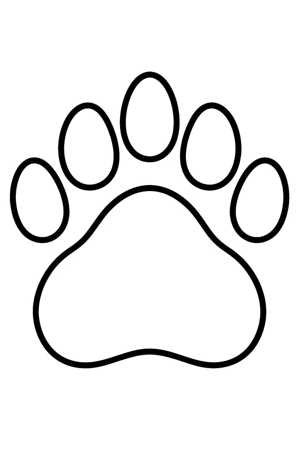 Bear Paw Print