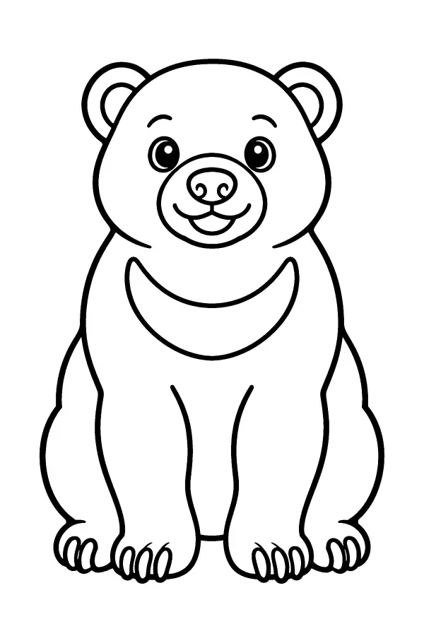 Front View Bear