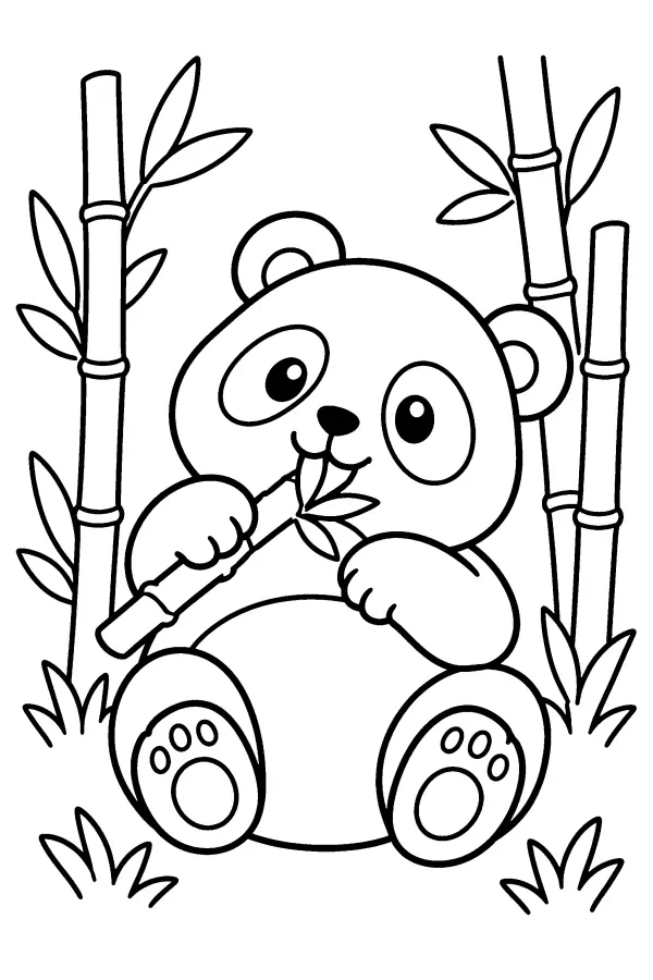 Panda In Bamboo