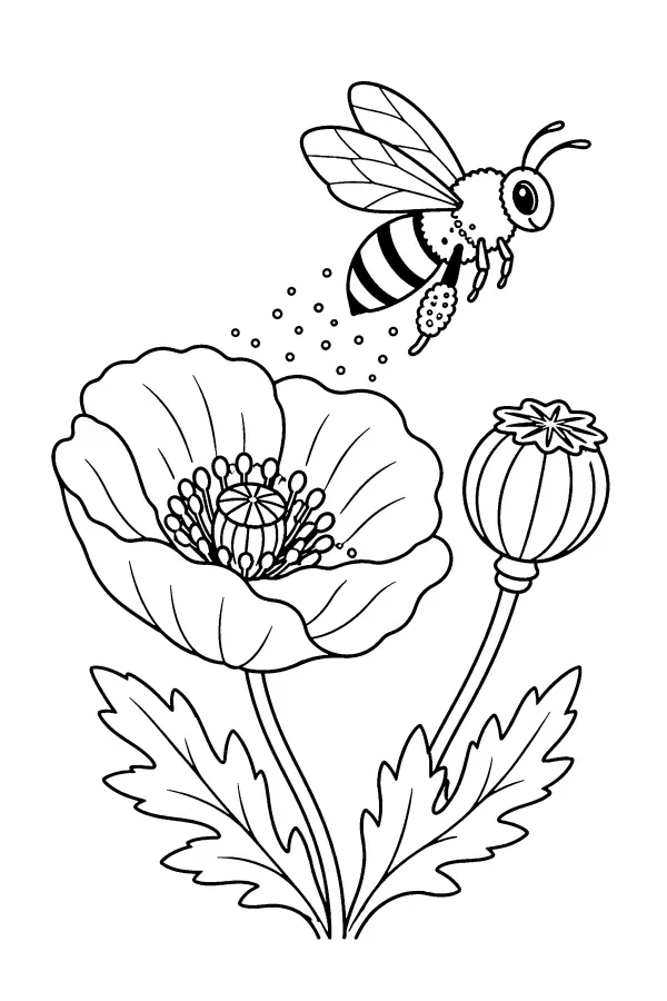 Bee And Poppy