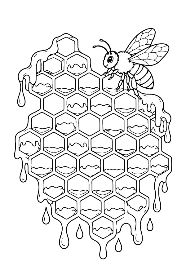 Dripping Honeycomb Bee
