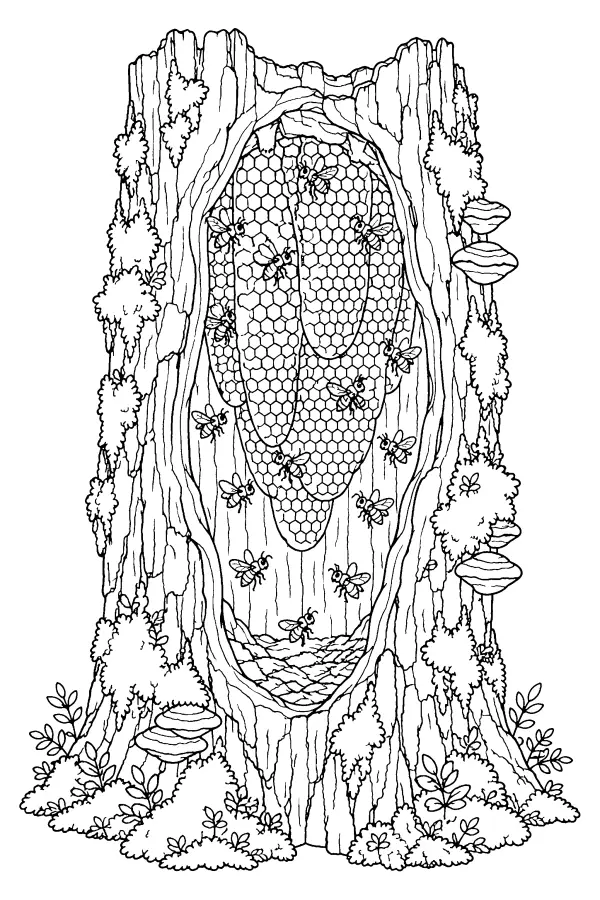 Hollow Tree Hive
