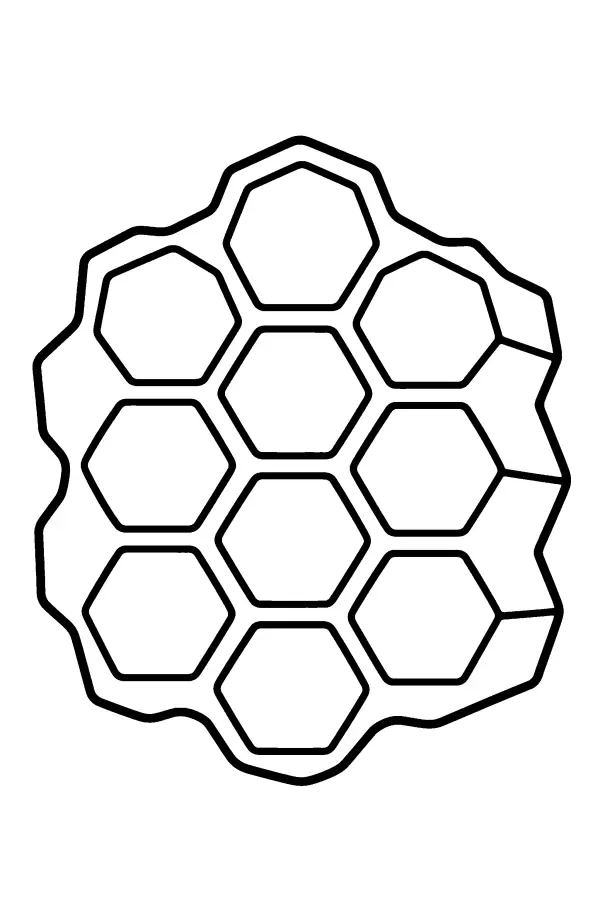 Honeycomb Cluster