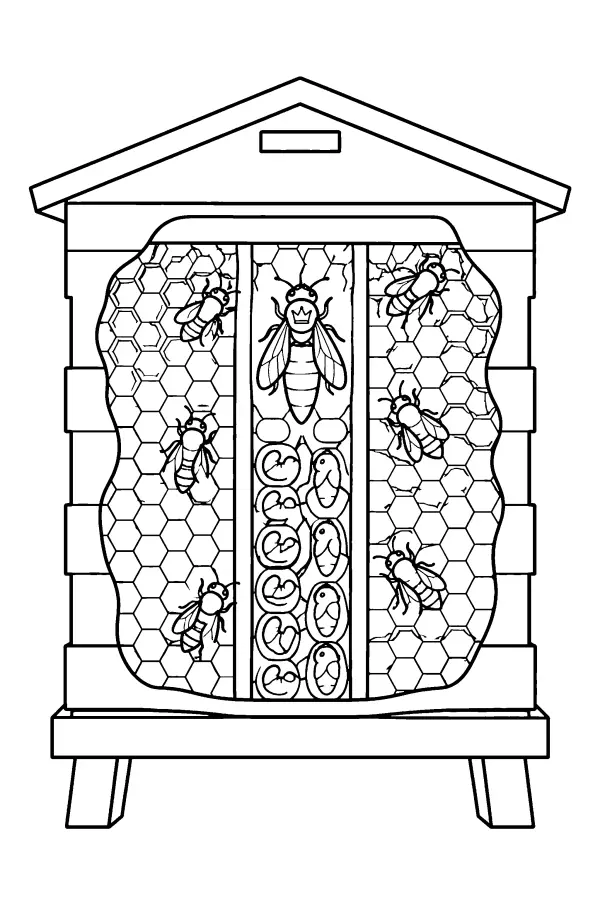 Inside The Hive