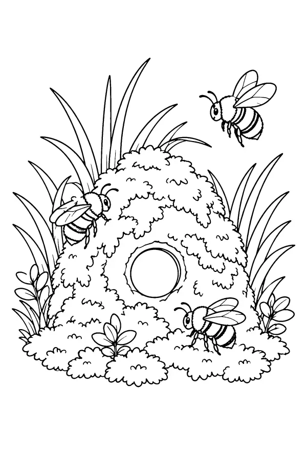 Mossy Bee Nest