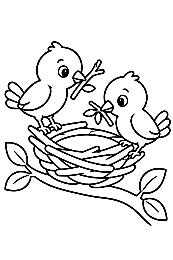 Birds At The Nest