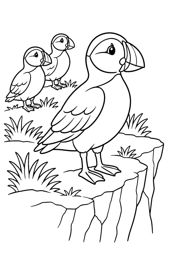 Cliffside Puffins