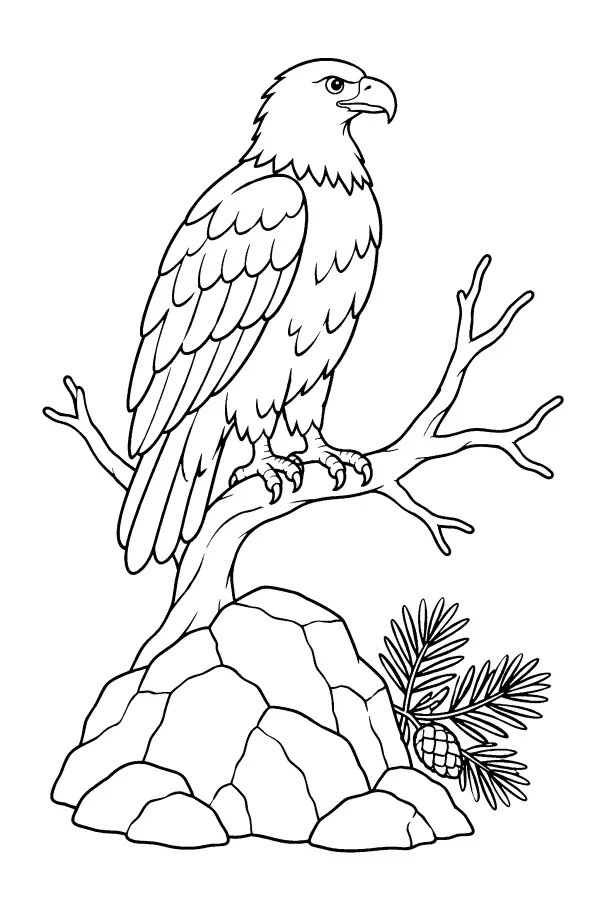 Eagle On Branch