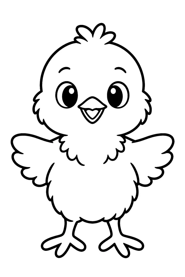 Fluffy Chick