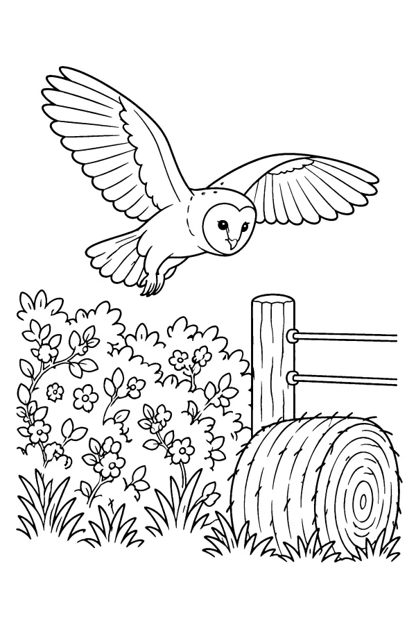 Gliding Barn Owl