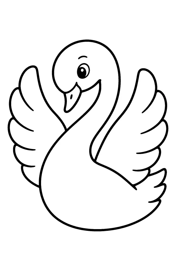 Graceful Swan