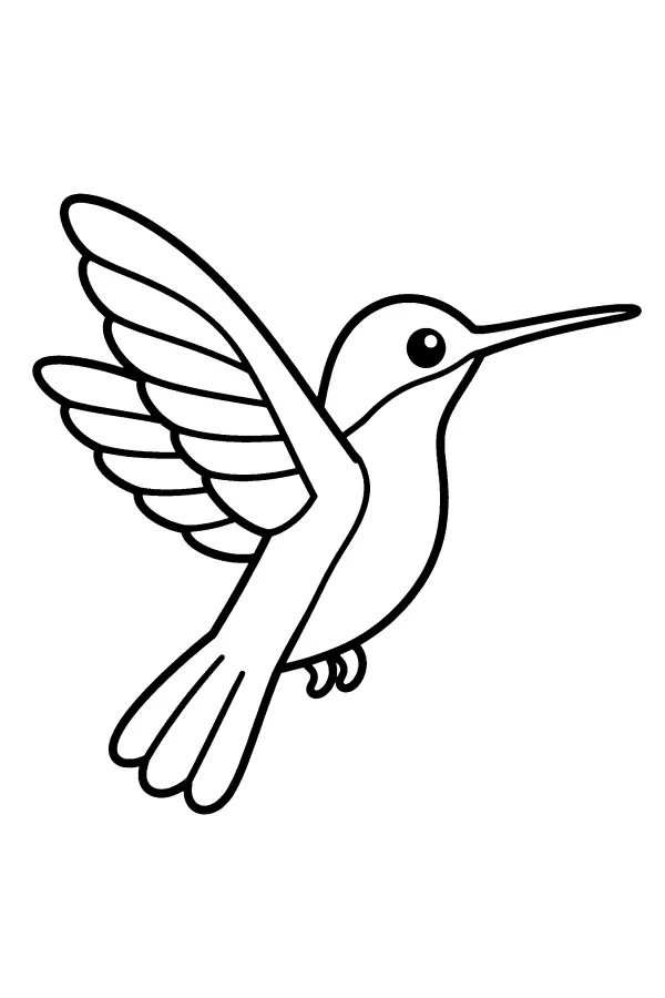 Hovering Hummingbird