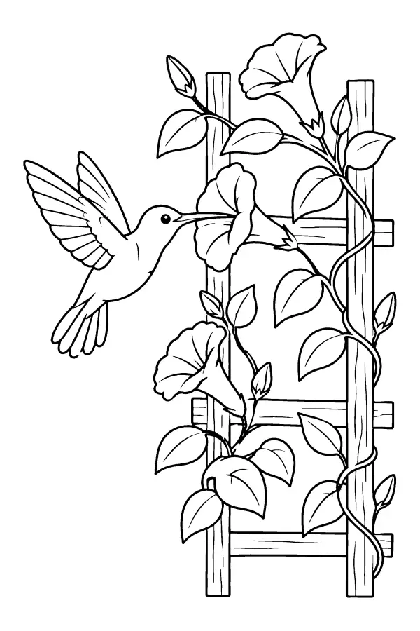 Hummingbird Trellis Blooms