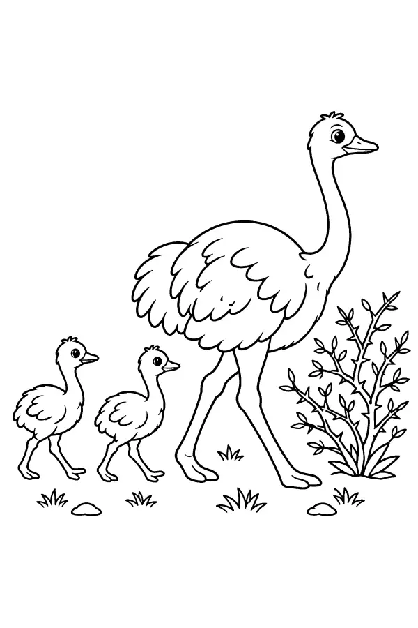 Ostrich and Chicks
