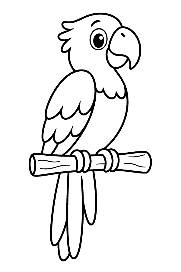 Perched Parrot