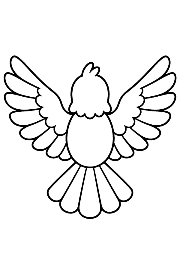 Spread Winged Bird