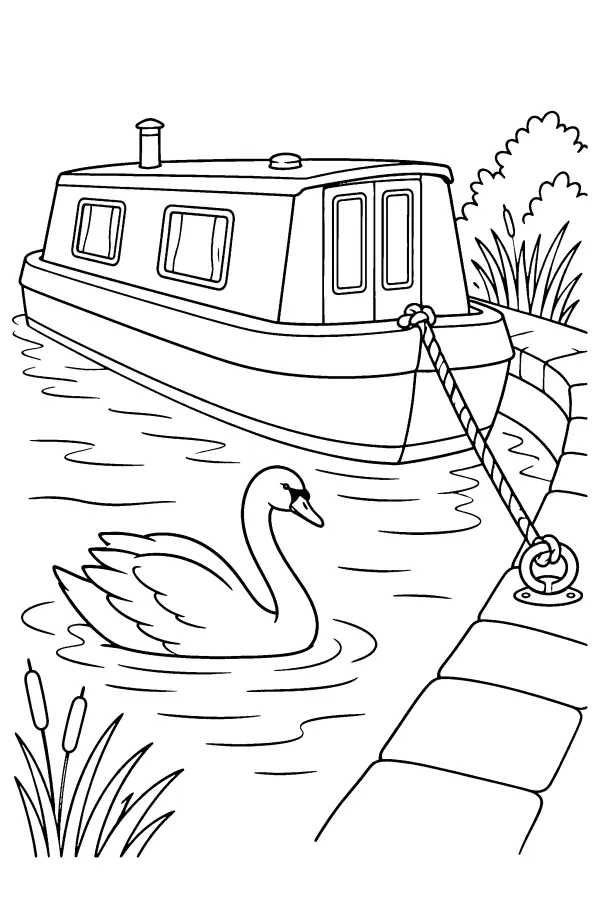 Swan By The Canal