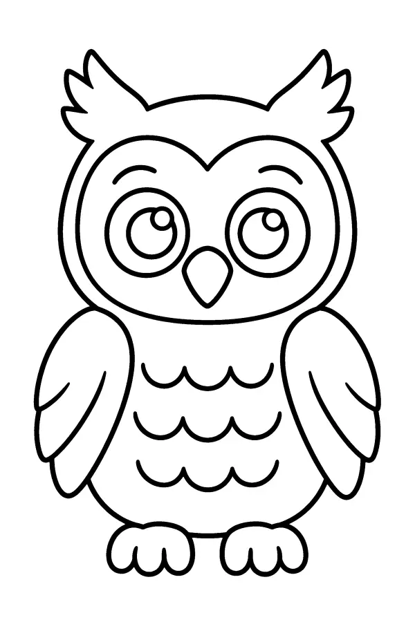 Wide Eyed Owl