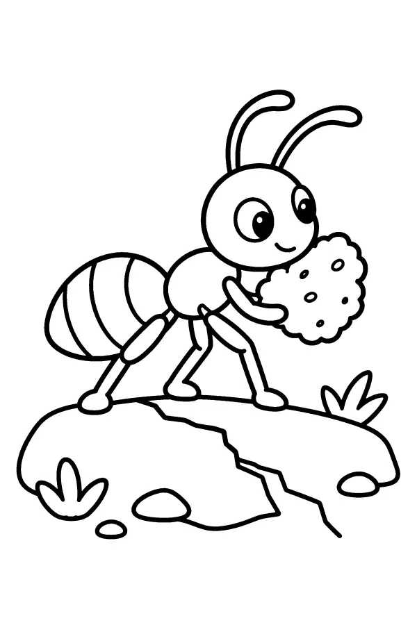 Ant And Crumb