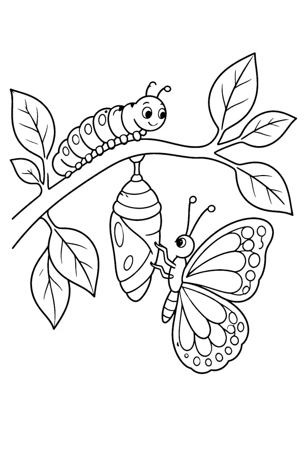 Branching Butterfly Life