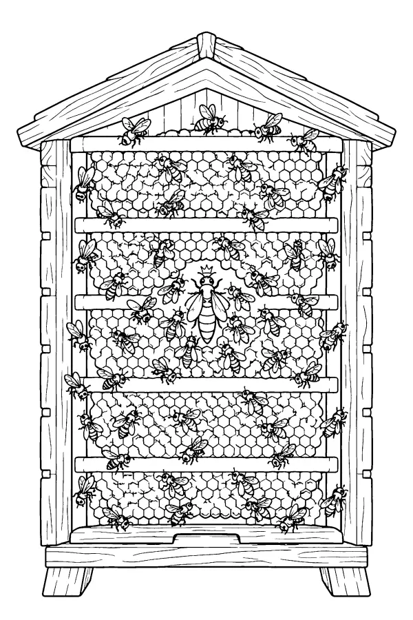 Cutaway Hive Scene
